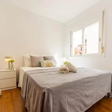 Wooow!!! Atic Centric Amb Terrassa Appartement *